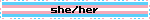 transgender pride flag blinkie with the pronouns "she/her"